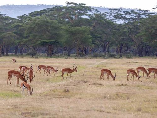 Arusha national park day trip